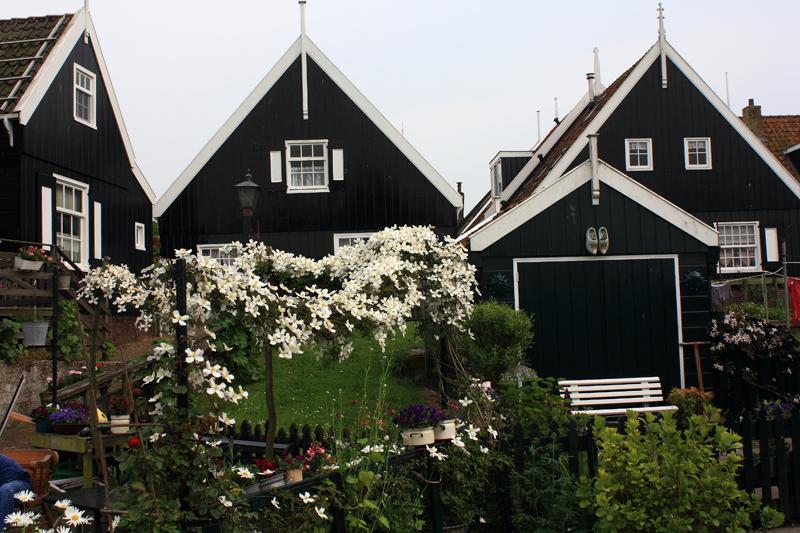 179-Marken,1 giugno 2010.JPG